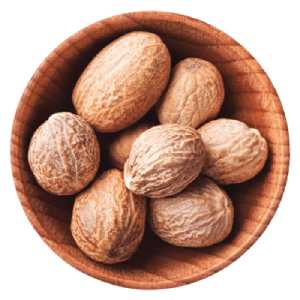 خرید نهال گردو هارتلی