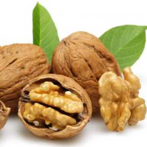 خرید نهال گردو اسرائیلی
