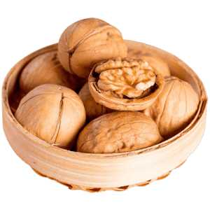 خرید نهال گردو پدرو