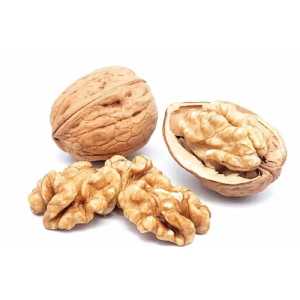 خرید نهال گردو پدرو