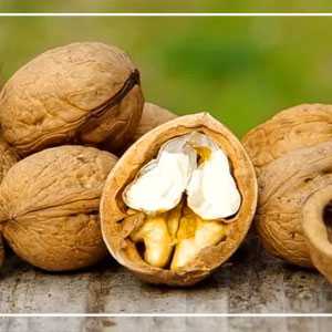 خرید نهال گردو تویسرکان