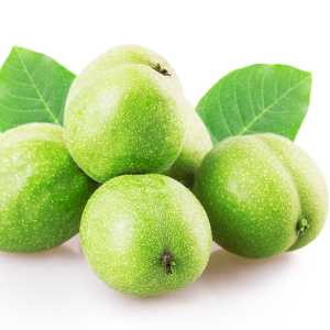 خرید نهال گردو جمال