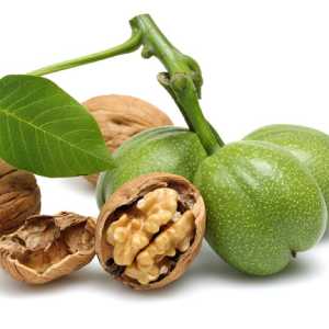 خرید نهال گردو چندلر