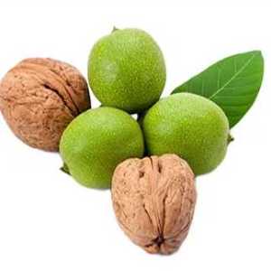 خرید نهال گردو ژنوتیپ برتر