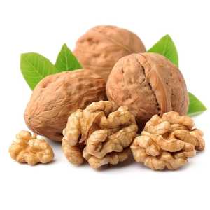 نهال گردو ژنوتیپ تیپ 4