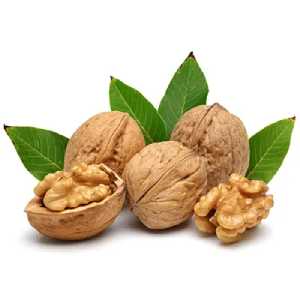 نهال گردو ژنوتیپ تیپ 4