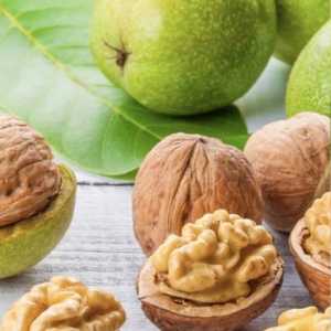 خرید نهال گردو شیلی