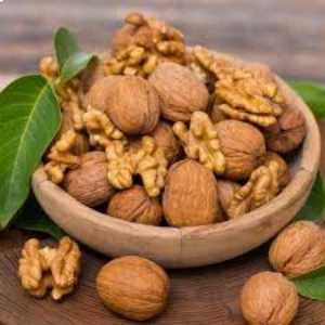 خرید نهال گردو فرنور