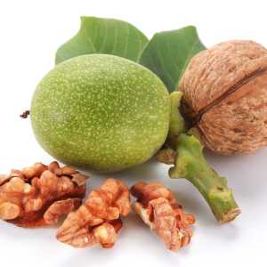 خرید نهال گردو کاما