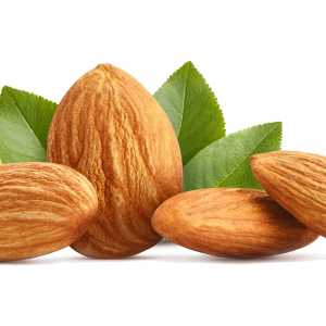خرید نهال بادام آذر خوشه ای