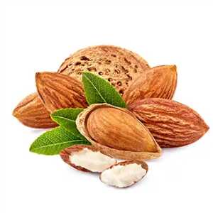 خرید نهال بادام حریر
