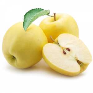خرید نهال سیب زرد
