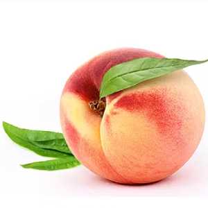 خرید نهال هلو 60روزه