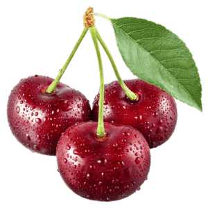 خرید نهال آلبالو گوشواره ای