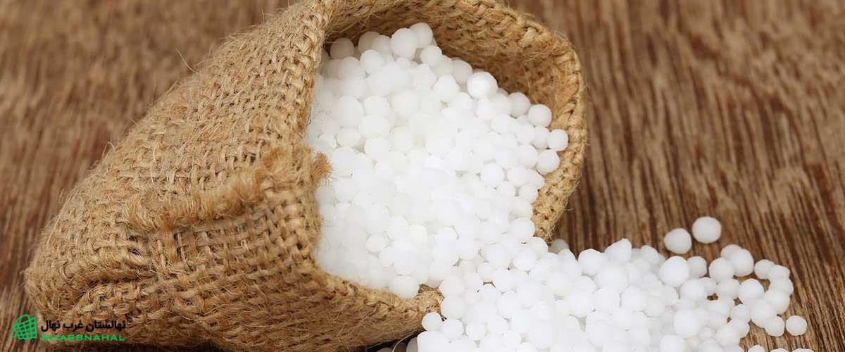مزایای کود اوره برای درخت گردو