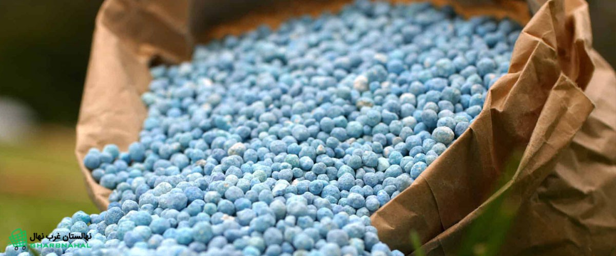 تاثیر و فواید استفاده از کود ارگانیک برای کاشت نهال و درخت