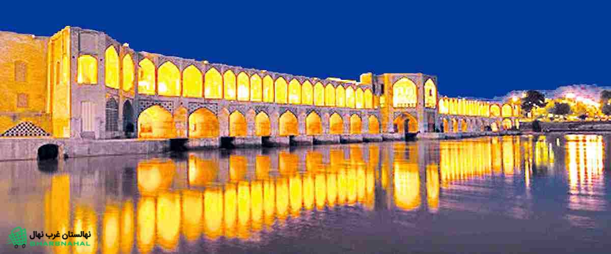 خرید نهال در اصفهان | معرفی بزرگترین نهالستان اصفهان