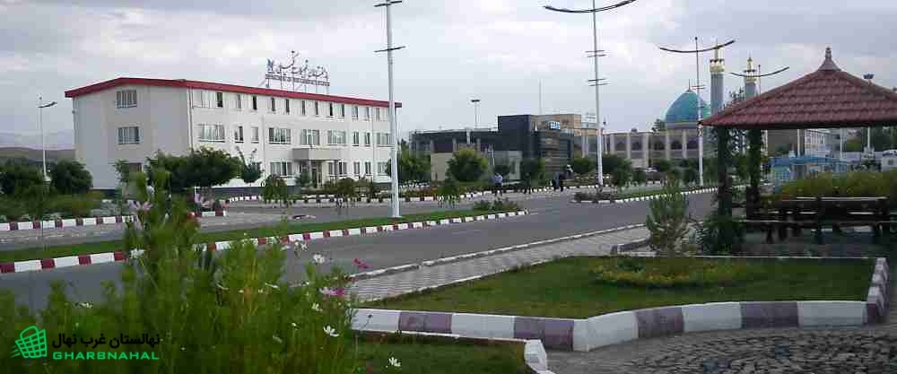 خرید نهال در اهر