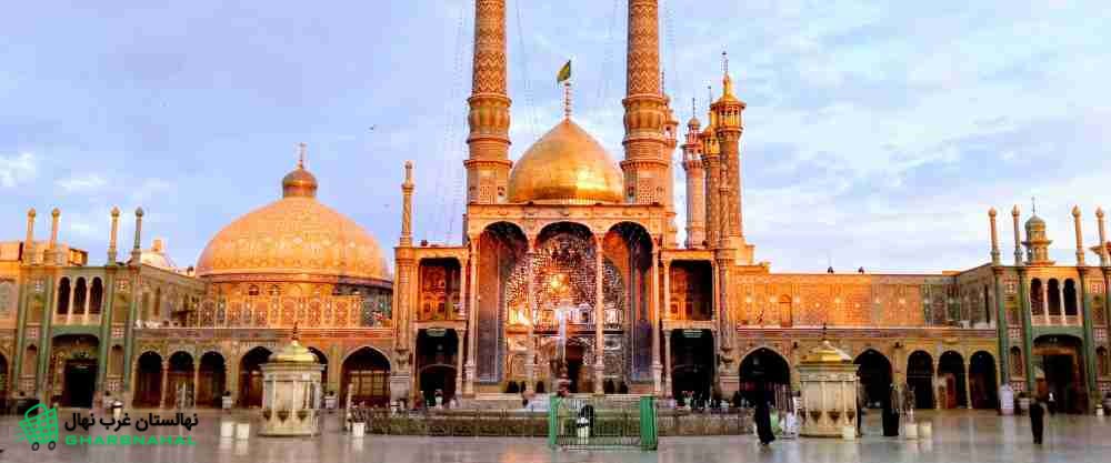 خرید نهال در قم