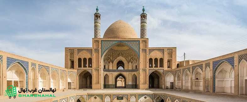 خرید نهال در کاشان