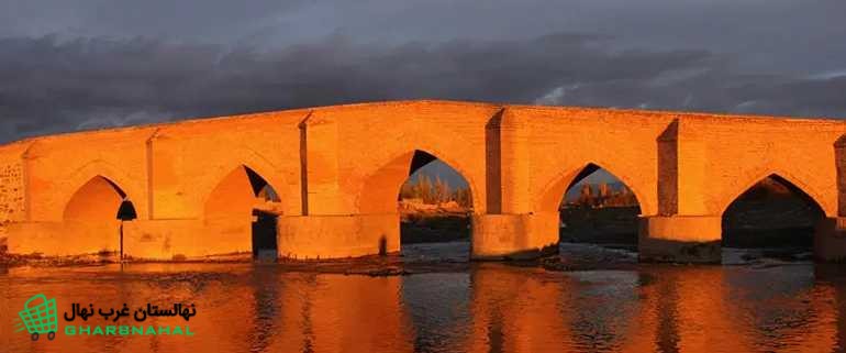 خرید نهال در بناب
