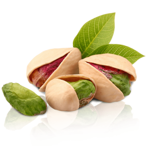 خرید نهال پسته اکبری