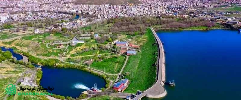 خرید نهال در مهاباد