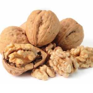خرید نهال گردو زنجان