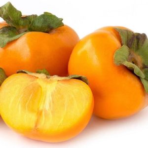 خرید نهال خرمالو شیرازی