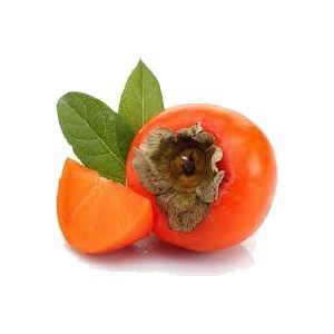خرید نهال خرمالو شیرازی