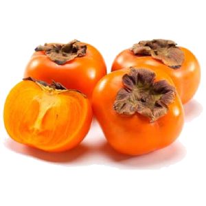 خرید نهال خرمالو دماوند