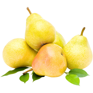 خرید نهال گلابی کوهن