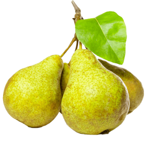 خرید نهال گلابی جنگلی