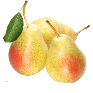خرید نهال گلابی تابستانی