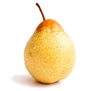 خرید نهال گلابی تابستانی