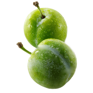 خرید نهال گوجه سبز تبریز