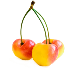 خرید نهال گیلاس دانه‌دار