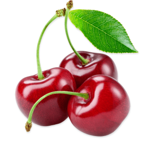 خرید نهال گیلاس مشهدی