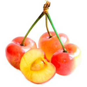 خرید نهال گیلاس تارت