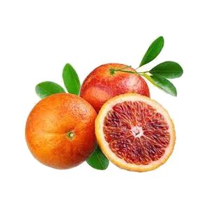 خرید نهال پرتقال توسرخ