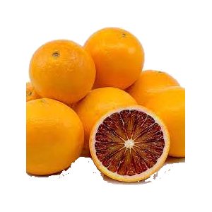 خرید نهال پرتقال توسرخ