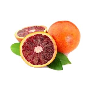 خرید نهال نارنگی خونی