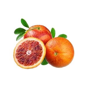 خرید نهال نارنگی خونی