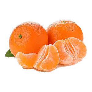 خرید نهال نارنگی چینی (کلمانتین)