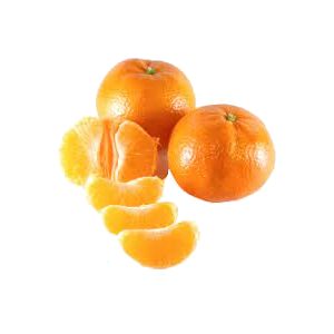 خرید نهال نارنگی ماداگاسکار