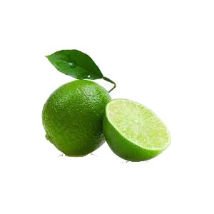 خرید نهال لیموترش لیسبون
