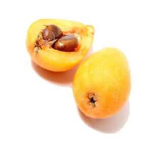 خرید نهال ازگیل قزوینی
