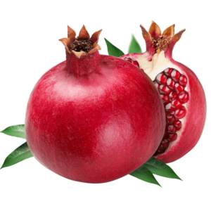 خرید نهال انار دیم