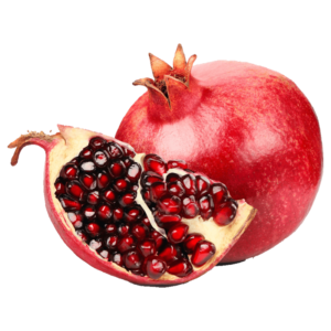 خرید نهال انار مصری