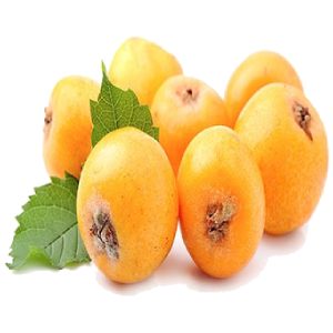 خرید نهال زالزالک ایرانی